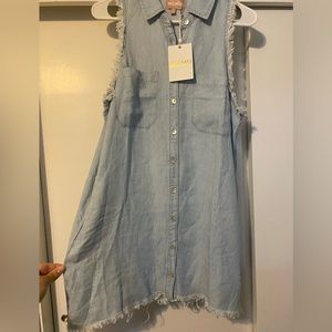Show Me Your Mumu Vicki Shirt Dress